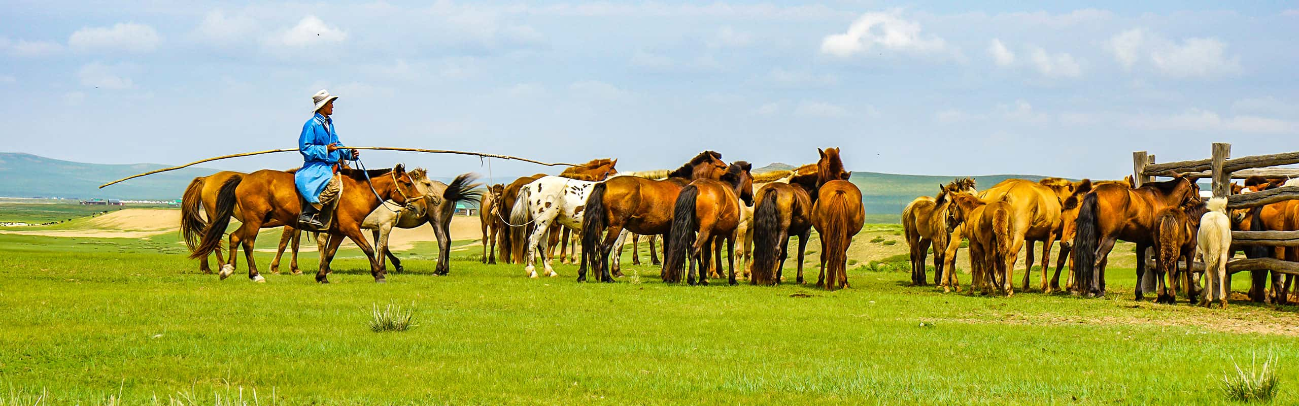 Mongolia grassland