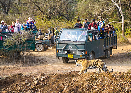 Ranthambore National Park